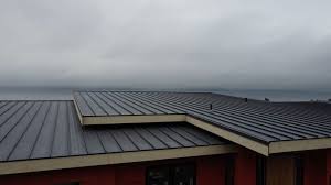 Best Storm Damage Roof Repair  in South Hill, VA